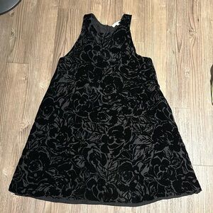 Aritzia wilfred with silk trompette velvet dress
